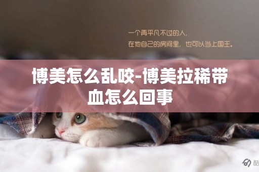 博美怎么亂咬-博美拉稀帶血怎么回事