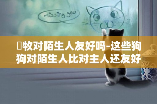 徳牧對陌生人友好嗎-這些狗狗對陌生人比對主人還友好