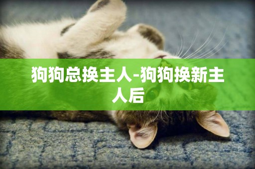 狗狗總換主人-狗狗換新主人后