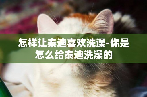 怎樣讓泰迪喜歡洗澡-你是怎么給泰迪洗澡的