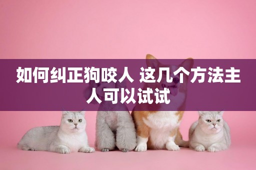 如何糾正狗咬人 這幾個方法主人可以試試