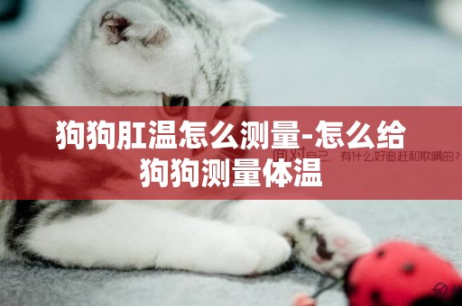 狗狗肛溫怎么測量-怎么給狗狗測量體溫