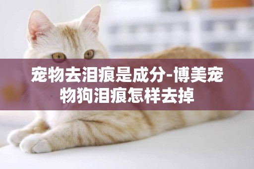 寵物去淚痕是成分-博美寵物狗淚痕怎樣去掉