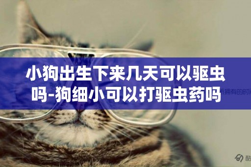 小狗出生下來幾天可以驅蟲嗎-狗細小可以打驅蟲藥嗎