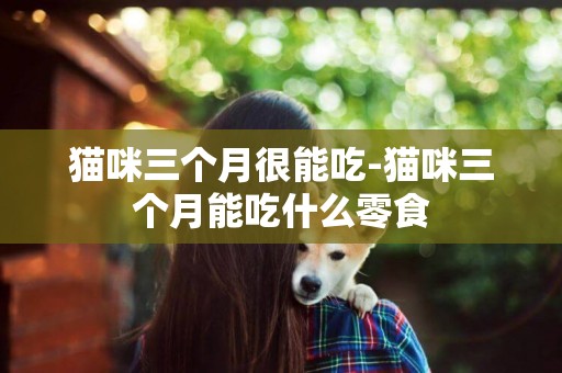 貓咪三個月很能吃-貓咪三個月能吃什么零食