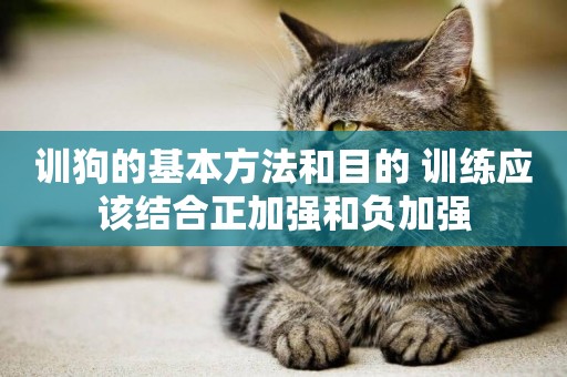 訓狗的基本方法和目的 訓練應該結合正加強和負加強