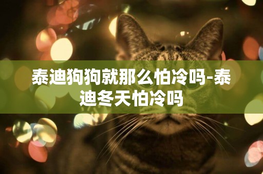 泰迪狗狗就那么怕冷嗎-泰迪冬天怕冷嗎