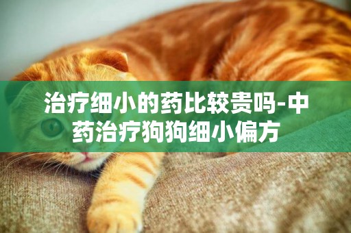 治療細小的藥比較貴嗎-中藥治療狗狗細小偏方