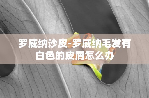 羅威納沙皮-羅威納毛發有白色的皮屑怎么辦