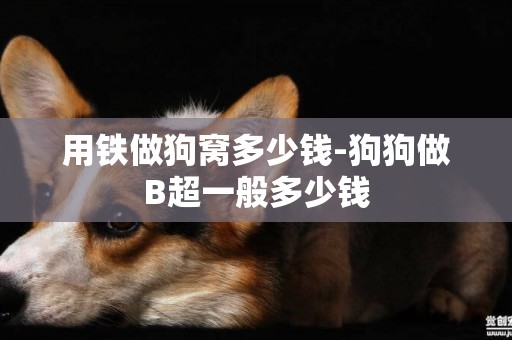 用鐵做狗窩多少錢-狗狗做B超一般多少錢