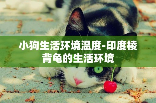 小狗生活環境溫度-印度棱背龜的生活環境