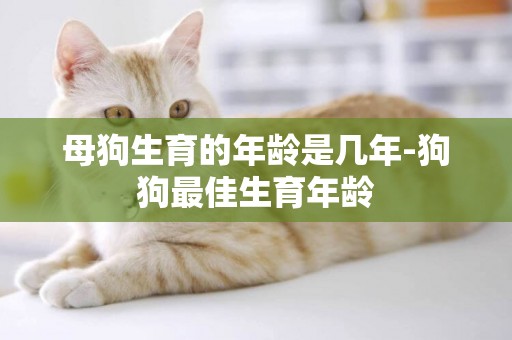 母狗生育的年齡是幾年-狗狗最佳生育年齡