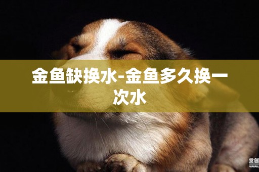金魚缺換水-金魚多久換一次水