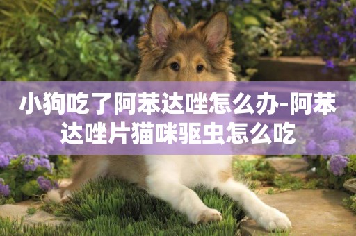 小狗吃了阿苯達唑怎么辦-阿苯達唑片貓咪驅蟲怎么吃