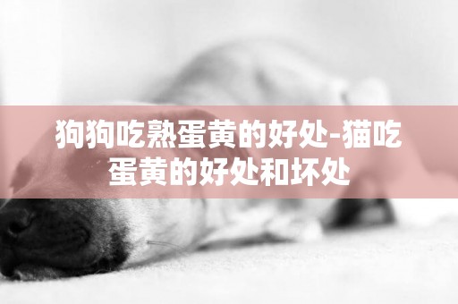 狗狗吃熟蛋黃的好處-貓吃蛋黃的好處和壞處