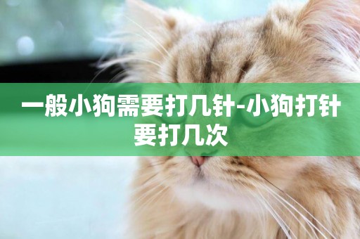一般小狗需要打幾針-小狗打針要打幾次
