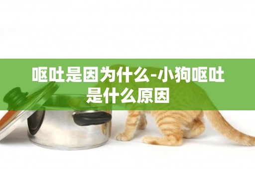 嘔吐是因為什么-小狗嘔吐是什么原因