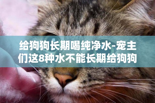 給狗狗長期喝純凈水-寵主們這8種水不能長期給狗狗喝