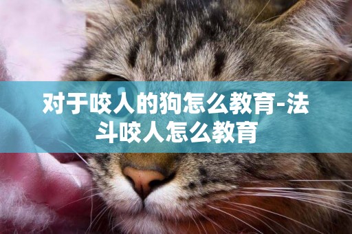 對于咬人的狗怎么教育-法斗咬人怎么教育