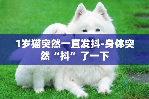 1歲貓突然一直發抖-身體突然“抖”了一下
