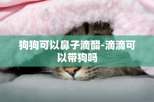 狗狗可以鼻子滴醋-滴滴可以帶狗嗎