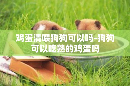 雞蛋清喂狗狗可以嗎-狗狗可以吃熟的雞蛋嗎