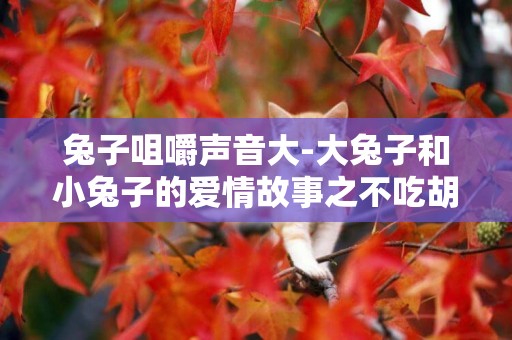 兔子咀嚼聲音大-大兔子和小兔子的愛情故事之不吃胡蘿卜的小兔子