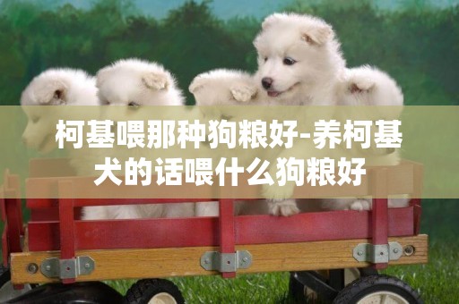 柯基喂那種狗糧好-養柯基犬的話喂什么狗糧好