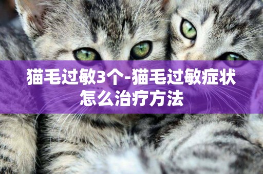 貓毛過敏3個-貓毛過敏癥狀怎么治療方法