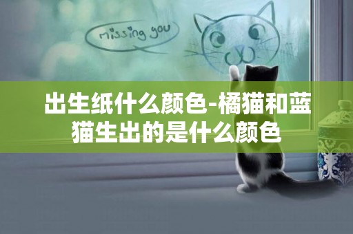 出生紙什么顏色-橘貓和藍貓生出的是什么顏色
