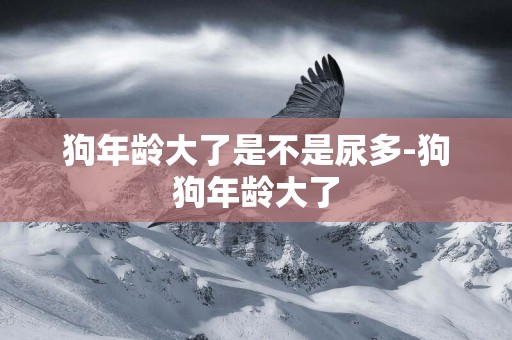 狗年齡大了是不是尿多-狗狗年齡大了