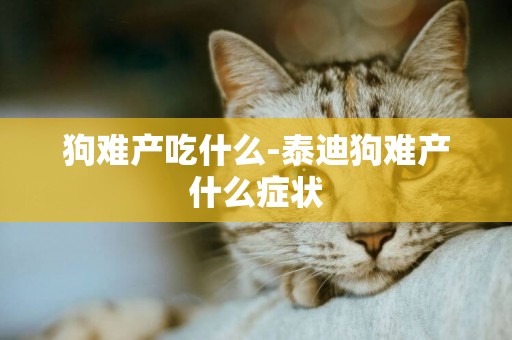 狗難產吃什么-泰迪狗難產什么癥狀