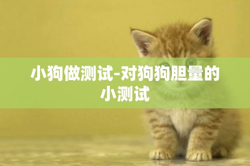 小狗做測試-對狗狗膽量的小測試