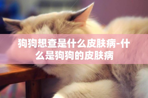 狗狗想查是什么皮膚病-什么是狗狗的皮膚病