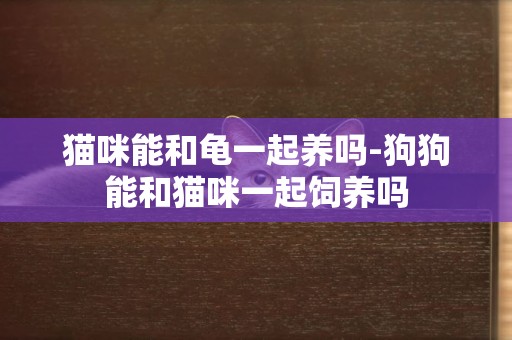 貓咪能和龜一起養嗎-狗狗能和貓咪一起飼養嗎