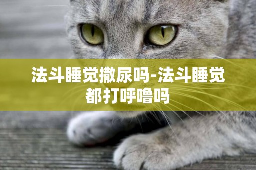 法斗睡覺撒尿嗎-法斗睡覺都打呼嚕嗎