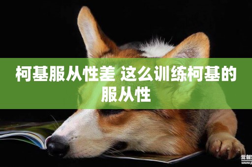 柯基服從性差 這么訓練柯基的服從性