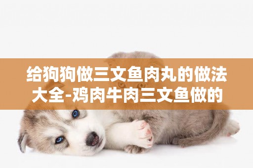 給狗狗做三文魚肉丸的做法大全-雞肉牛肉三文魚做的貓飯