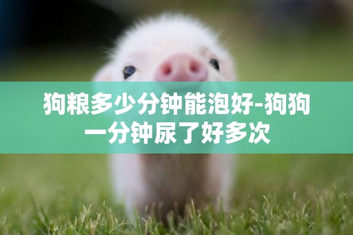 狗糧多少分鐘能泡好-狗狗一分鐘尿了好多次