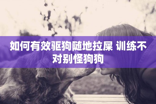 如何有效驅狗隨地拉屎 訓練不對別怪狗狗