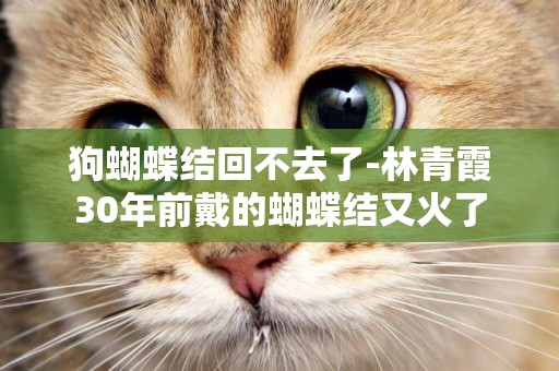 狗蝴蝶結回不去了-林青霞30年前戴的蝴蝶結又火了