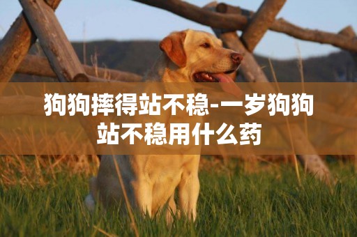 狗狗摔得站不穩-一歲狗狗站不穩用什么藥