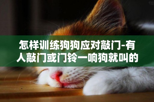 怎樣訓練狗狗應對敲門-有人敲門或門鈴一響狗就叫的原因和訓練方法