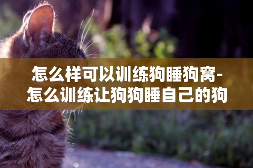 怎么樣可以訓練狗睡狗窩-怎么訓練讓狗狗睡自己的狗窩