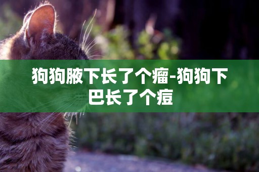 狗狗腋下長了個瘤-狗狗下巴長了個痘