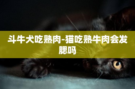 斗牛犬吃熟肉-貓吃熟牛肉會發腮嗎