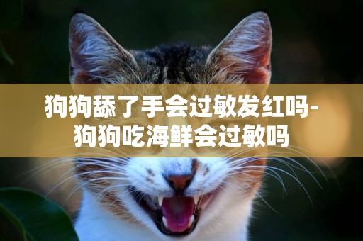 狗狗舔了手會過敏發紅嗎-狗狗吃海鮮會過敏嗎