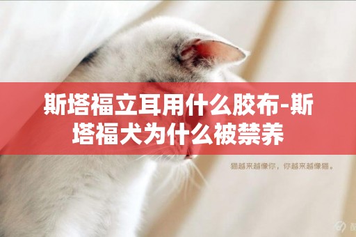 斯塔福立耳用什么膠布-斯塔福犬為什么被禁養