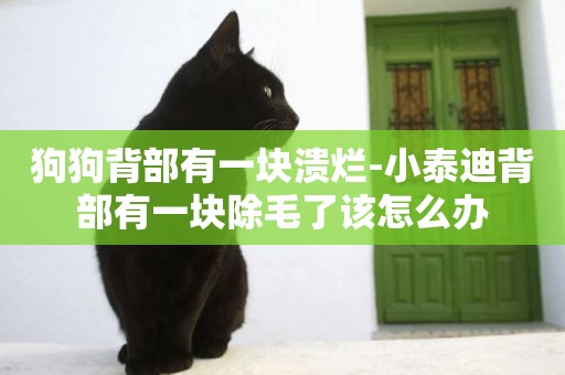 狗狗背部有一塊潰爛-小泰迪背部有一塊除毛了該怎么辦