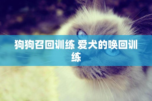 狗狗召回訓練 愛犬的喚回訓練